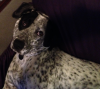 upload_2016-7-28_17-34-20.png upload_2016-7-28_17-34-20.png