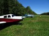 DSC02384.jpg