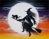 Night flt - witch.jpg Night flt - witch.jpg