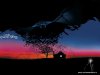 Night-flight-bat.jpg Night-flight-bat.jpg