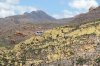 Bartlett_8-28-16_3.jpg