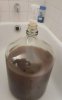brew2.jpg