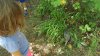 20160903_144107_resized.jpg