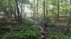 20160904_145501_resized.jpg