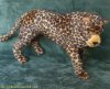 leopard.jpe leopard.jpe
