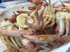 crabs.jpg
