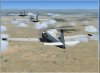 mooneyflyin.jpg
