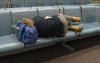 0675 delayed flight small.JPG