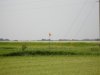 DSC01279.JPG