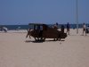 100_1288.jpg