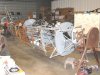mooney_0014.jpg