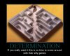 determination_poster.jpg