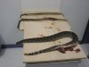 snake2 003.jpg
