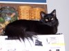 100_0042.jpg