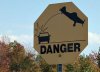 warningsign.jpg