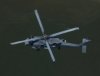 Seahawk.jpg