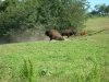 DSCN0381.JPG