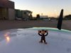 Monkey_APA_Sunrise.JPG