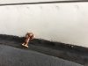 Monkey_Hug.JPG