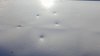 14488880_10101914586485500_209051811_o.jpg