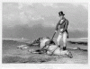 beating a ded horse gif.gif beating a ded horse gif.gif