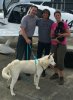rps20161211_153505.jpg rps20161211_153505.jpg