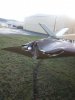 20170110_091229.jpg
