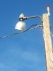 20170110_091345.jpg