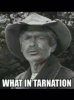 What In Tarnation Clapet.jpg What In Tarnation Clapet.jpg