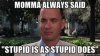 stupid is Forest Gump.jpeg