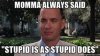 stupid is Forest Gump.jpeg