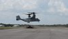 osprey 1.jpg
