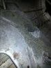 20170303_103308.jpg