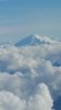 20170217_142355.jpg