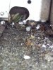 20170328_135813.jpg
