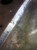 20170414_123912.jpg