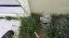 20170429_180147 (Medium).jpg