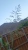 20170509_064601.jpg 20170509_064601.jpg