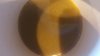 20170513_081137.jpg 20170513_081137.jpg