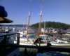 Friday Harbor.jpeg