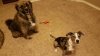 20170608_220307.jpg