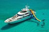 2017-07-08_9303_Sharks.jpg