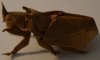 DSC03194.jpg