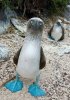 upload_2017-7-16_21-58-34.jpeg