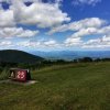 IMG_0875.JPG