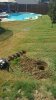 20170805_111934.jpg