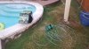 20170802_202559.jpg