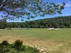 IMG_1717.JPG IMG_1717.JPG