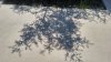 20170821_131829_HDR.jpg