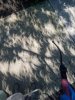 20170821_143750.jpg